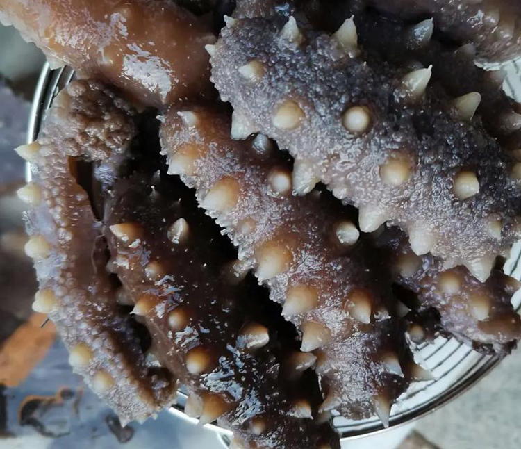 a14c958e4be2163551b730a21c5c4a50 (2)