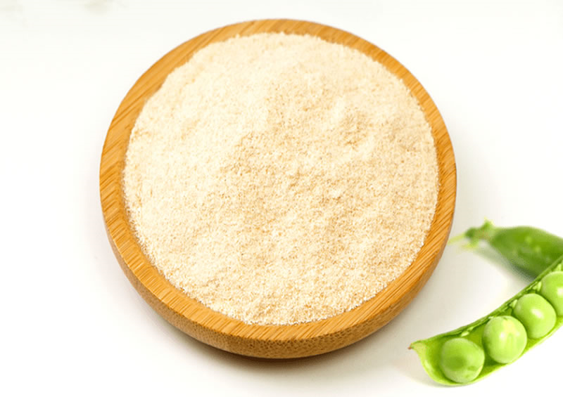 改性豌豆蛋白粉