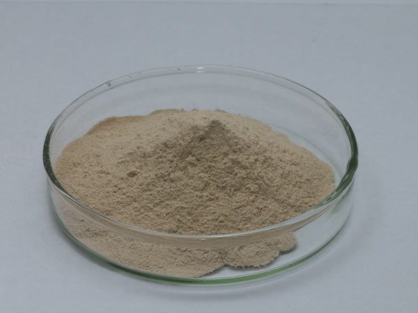 羽毛角质蛋白水解酶（羽毛粉饲料酶，角蛋白酶）