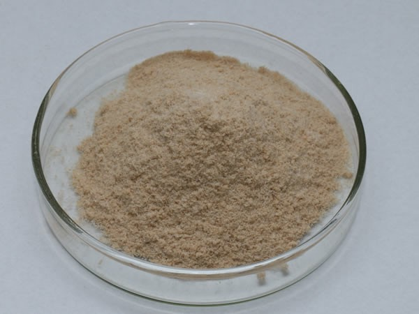 2709碱性蛋白酶（地衣芽孢杆菌蛋白酶）Alkaline proteinase