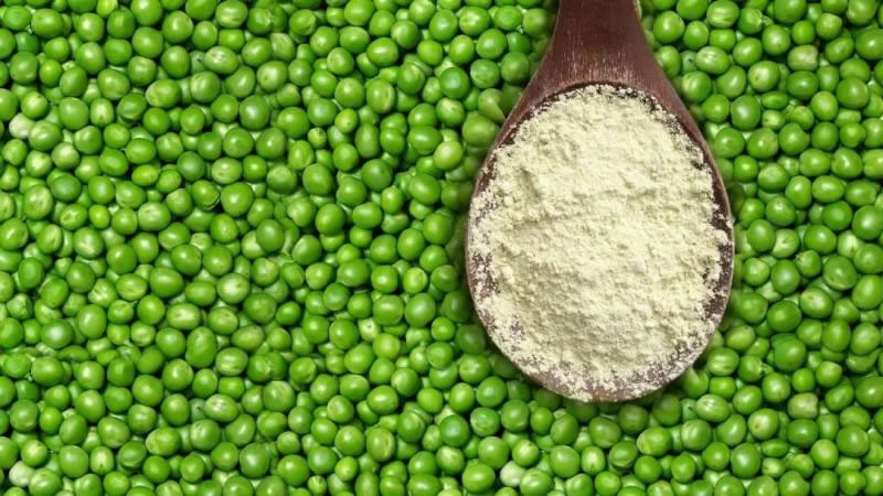 豌豆蛋白