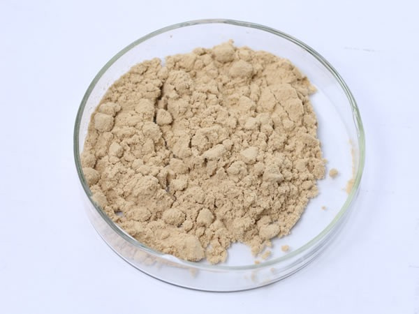 核酸酶（5′-磷酸二酯酶）nuclease