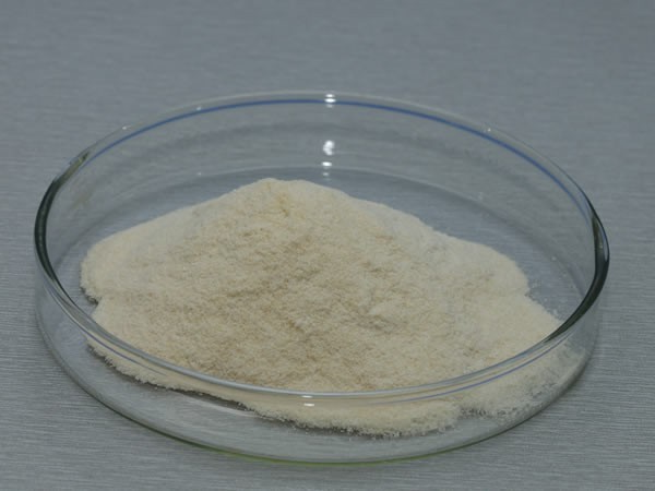 糖化酶 Glucoamylase