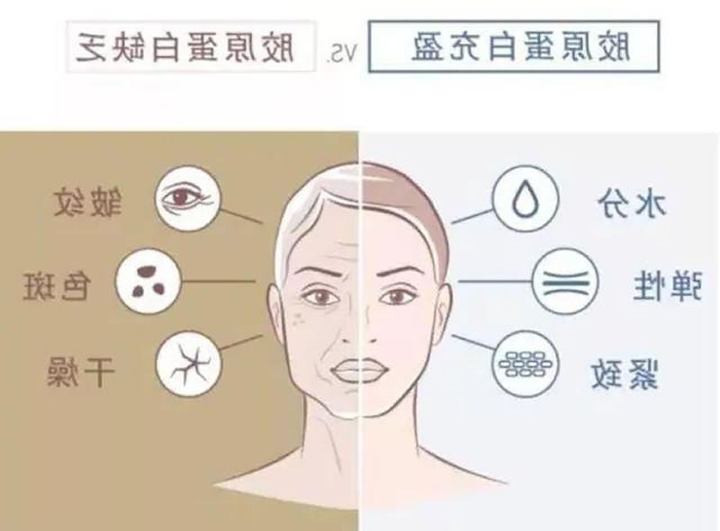 鳕鱼皮胶原蛋白肽的应用