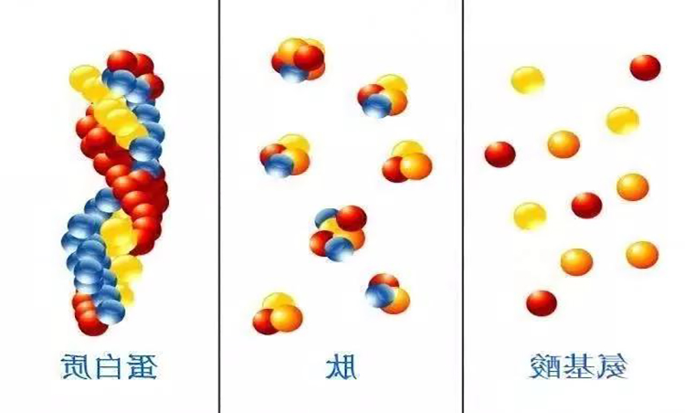 21a55f801f156ff94be9f44fccf86e7e