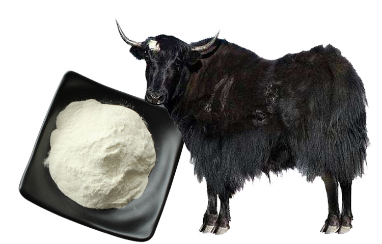 eb300a9102b0f8f2623a31d2d9e78fb0