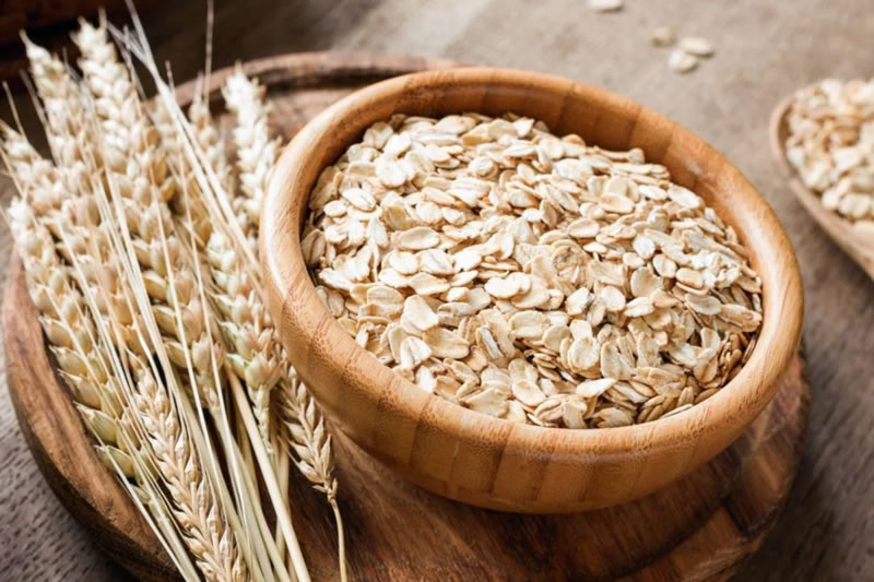 燕麦制备燕麦蛋白饮料的原料