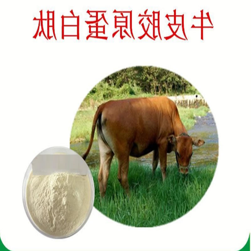牛肉胶原蛋白肽