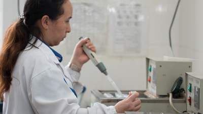 木瓜蛋白酶酶活力测定检测方法，干货分享！