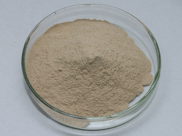 海参水解酶（海参多肽提取酶）