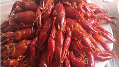 做酶好事业，享酶好生活，品酶力美食