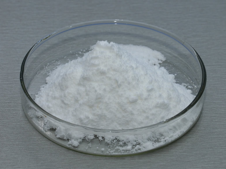 木聚糖酶 Xylanase