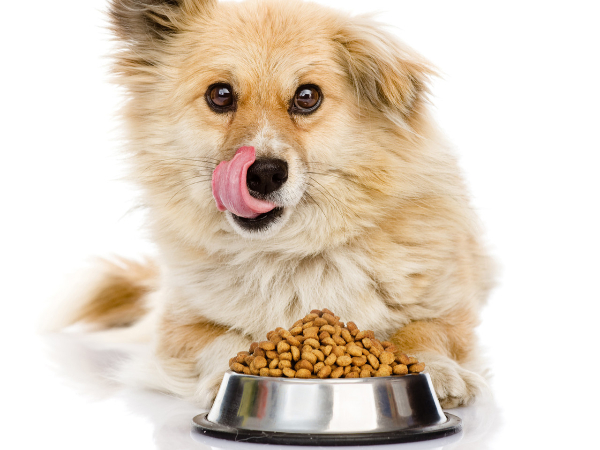 饲料加工生产—酶制剂解决方案