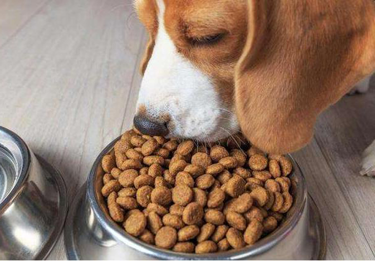 0b7ecf7ae590507ea113316931efbcd3 0b7ecf7ae590507ea113316931efbcd3