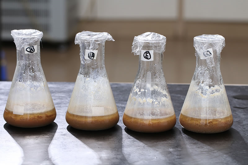 水解鸡肝生产宠物风味剂