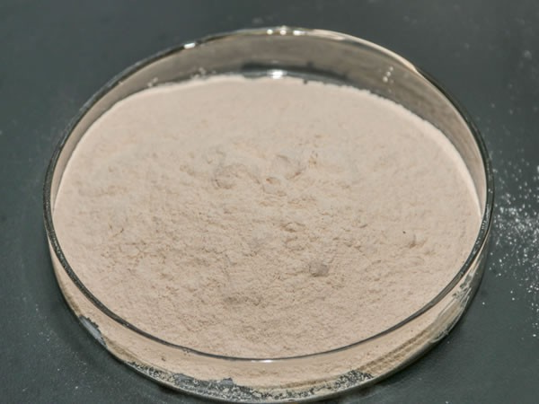 软骨水解酶（硫酸软骨素提取酶）