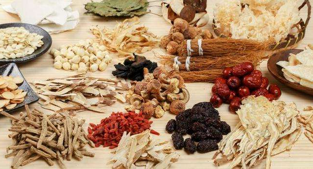 如何利用酶解法提取中药有效成分？