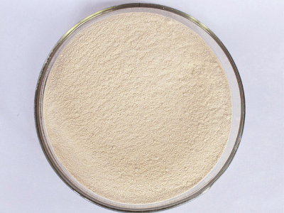 耐高温α-淀粉酶 α-Amylase