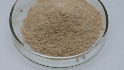 碱性蛋白酶在洗涤剂行业的应用前景