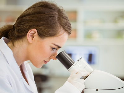 酶解应用服务,交钥匙工程服务,产品研发服务