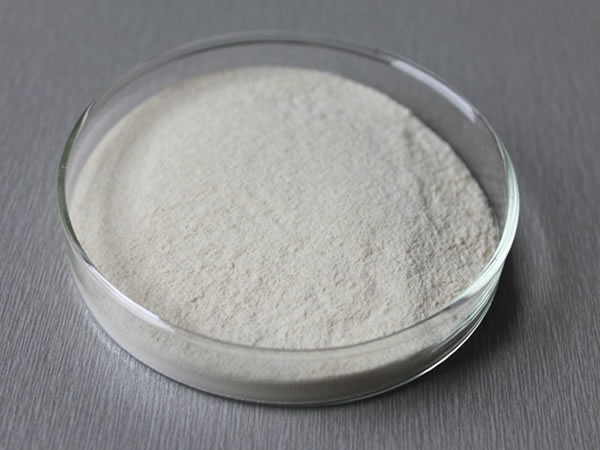 菠萝蛋白酶 Bromelain