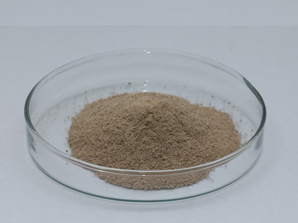 537酸性蛋白酶 Acid Protease