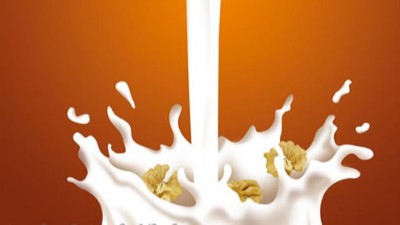 浅谈酶解技术在植物蛋白饮料中的应用