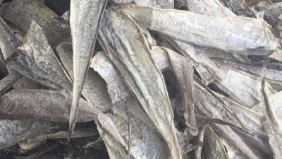 水解鱼皮做胶原蛋白肽有苦味，风味酶能去除苦味吗？