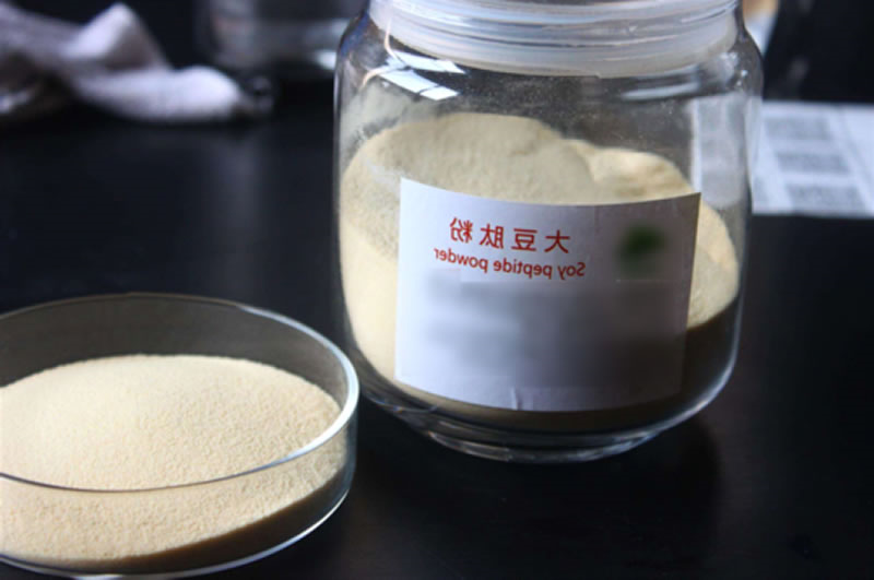 大豆肽粉
