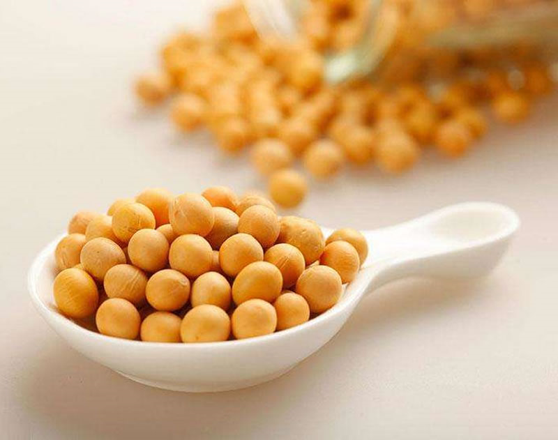 制备大豆蛋白肽的原料