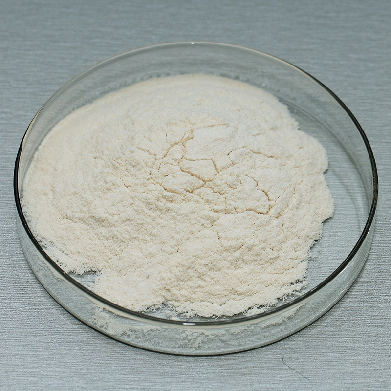 cellulase