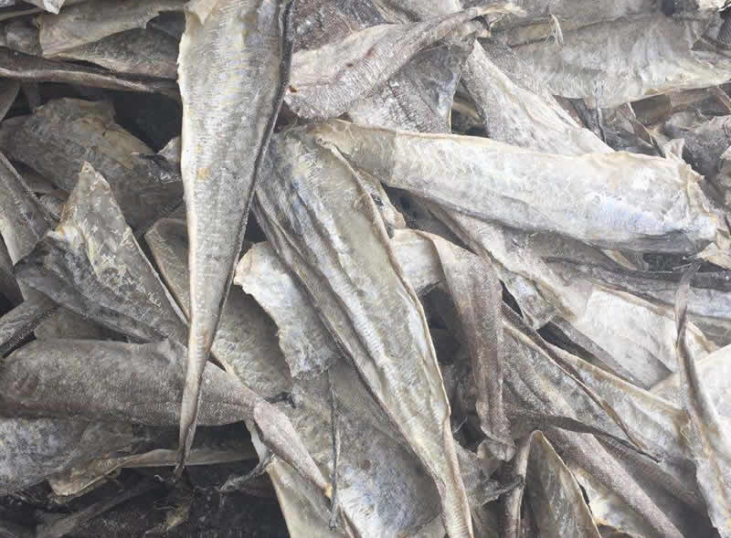 鳕鱼皮提取胶原蛋白肽