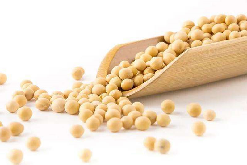 大豆酶解产物