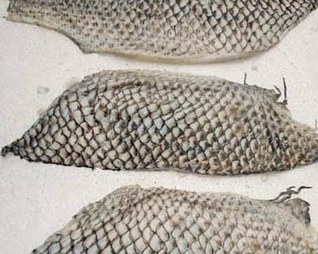 保健品肽类生产—酶制剂解决方案