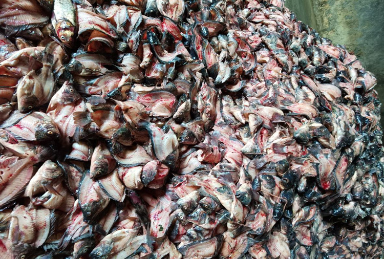 fdbecef1ebd2f0edea50e86953eaa203